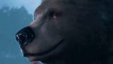 Bear Chad