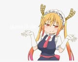 113
