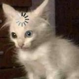 9ugz5
