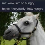 1734509158629906