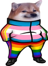 NAFO tranny