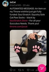 jocat-femboy-arch-rule-v0-8lkuzc47fxvc1
