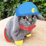 klonoa in real