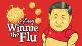 winnie the flu