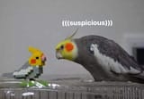 1592622067193