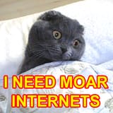 Cat_Moar_Internets