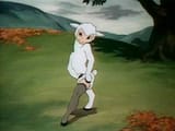 sheep