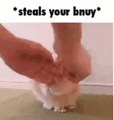 1724184819792443