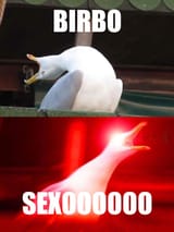 AVIAN LADY DETECTED