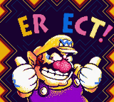 _ER_ECT