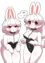 GqMlf1SbIAAbWD4