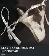 sexy-taxidermied-rat-underwear