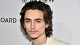 timothee%20chalamet-3362207364