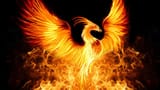 Profile_-_Phoenix