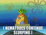 7298