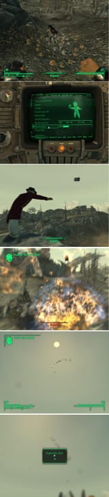 dogmeat has died