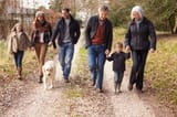 Multigenerational