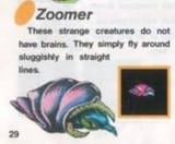 zoomer