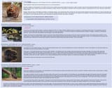 001_beaver_ambition