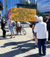 genitals