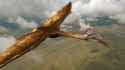 Quetzalcoatlus_thumb.jpg