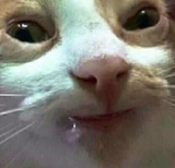 1663012869148046