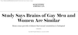 homo_brain_trans