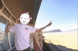 IthinkSeagullsSuck
