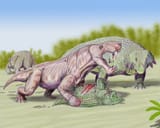 Inostrancevia_4DB