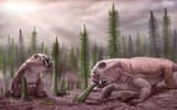 image_8794_1e-Lystrosaurus