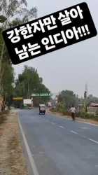 india driving_4chud_thumb.jpg