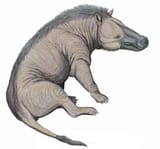 Andrewsarchus09DB-1200x1120