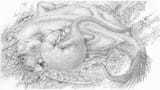 ReConstruction