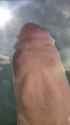 1743191534951034_thumb.jpg