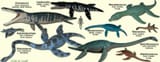 plesiosaurs[1]
