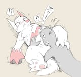 Zangoose45d