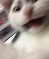 1690668883789536