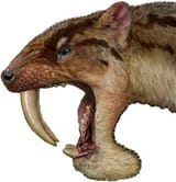 thylacosmilus4