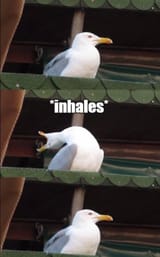1723593881646827