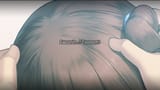 flight sim