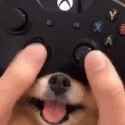 1723925420446615_thumb.jpg