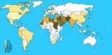 Schematic-representation-of-consanguineous-marriage-rates-worldwide-adapted-from-Table