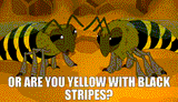 6c635b82-762b-46ae-b6fb-7f705a6c2318_text