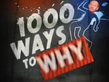 1000 Ways to WHY