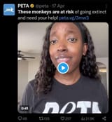 PETA monkeys