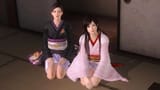 doa5_kokoro_and_miyako_by_longpole_dcpitxy-fullview