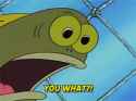 spongebob-you-what_thumb.jpg