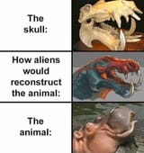 1739813935576