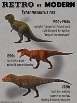 22-tyrannosaurus_rex