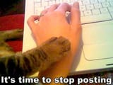 stop, just stop
